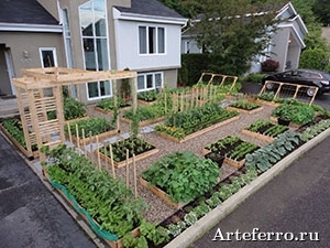 Vegetable-garden